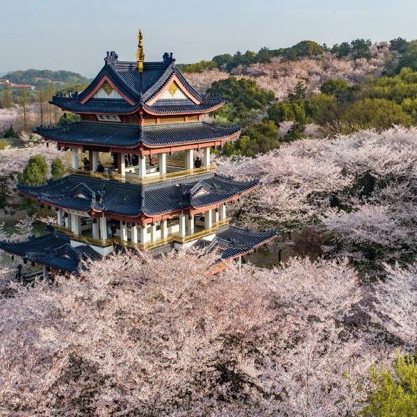 Tour Du Lịch Trung Quốc: Khám Phá Thượng Hải - Vô Tích 6 Ngày/5 Đêm